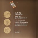 소노펫 동물병원 이미지