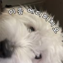 실버서비스 미용실 이미지