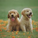 이의종동물병원 이미지