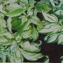 수채화(취미) 이미지