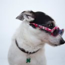 웃으면복이와요 이미지