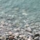 안일초등학교백야분교장 이미지