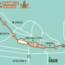 대가야박물관 이미지