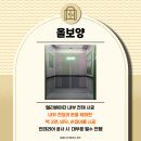 흥화 | 경기 안양시 흥화아파트 올보양 및 동선보양 후기