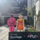 성수오징어 이미지