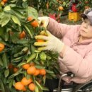 시아농장 이미지