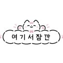 귀족미용실 이미지