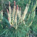 텃밭양산점 이미지