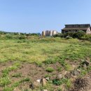 하모1리 이미지