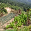 임실농장 이미지