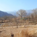 김삿갓면-5 이미지