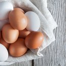 [건강이야기] 계란 하나면 비타민 D 걱정 끝 이미지