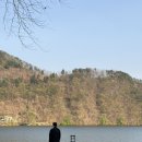 용 골 | 남양주 북한강 애견동반 식당 더드림핑 드림골 내돈내산 솔직후기