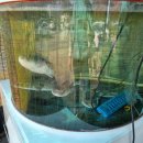 유성복집동학사점 이미지