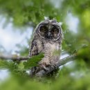 구지스크린골프연습장 이미지