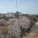 안일초등학교백야분교장 이미지