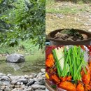 큰곰 | 원주 계곡 식당 아이랑 가기좋은 큰곰 솔직후기