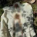 부산 묘개장 유골수골 묘지평탄화부터 복잡한 행정절차까지 깔끔하게 해결해 드립니다