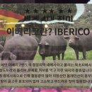 수할인마트정육 이미지