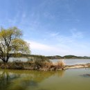 창녕 우포늪 이미지