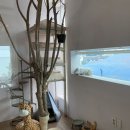 메종드레오