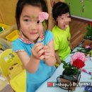 김포서초병설유치원 이미지