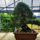 해송4로 이미지