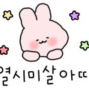 이로운초밥 이미지