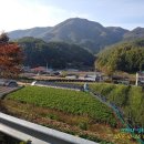 적상산휴게소식당 Daum카페