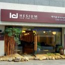 헤시움헤어큐어살롱인동점