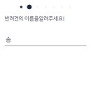 마요 펫 이미지