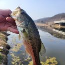 위천 위천교 이미지