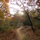 [서울] 옛 망우리묘지를 거닐다. 망우산~망우역사문화공원~구리둘레길 늦가을 나들이 ＜방정환묘소, 오세창묘소, 도산 안창호묘터＞ 이미지