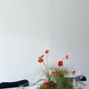 삼풍음식백화점 | [식물관 PH웨딩] 에서 결혼식 올린 당사자가 말아주는 진짜 후기