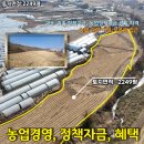 수월평경영 네이버블로그