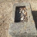 자인초등학교 이미지