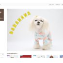 디자인팜 이미지