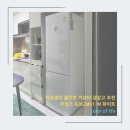 자취생 가성비 냉장고 추천 루컴즈 R262M01-W 화이트 내돈내산 솔직후기