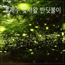 청수청년곱창
