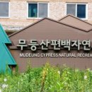 편백어울림 이미지