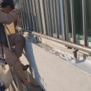 보성타운 이미지