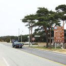 월송정매점 이미지