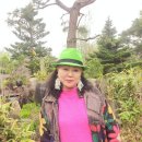 이종태농장 이미지