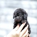 렛츠개릿 이미지