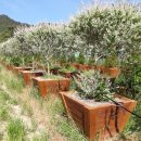 미소농장 이미지