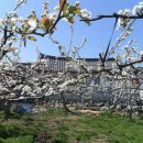 엑스포펜션민박 이미지