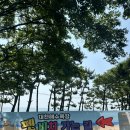 펫119 | 대천 2026 펫비치, 멍드존 다녀온 후기 / 펫비치 들렀다가 식사하기좋은 대천애견동반식당 명가석갈비