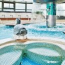 금강온천모텔 이미지