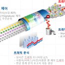 엔에스텍 이미지