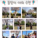 목동 소나무향기 태권도 이미지